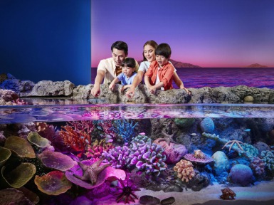 Sea Life Bangkok Ocean World